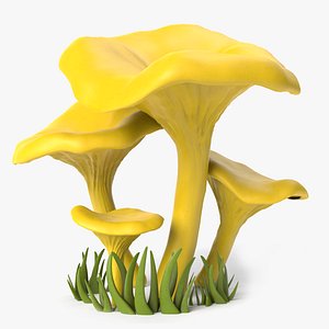 3D cartoon chanterelle mushrooms model