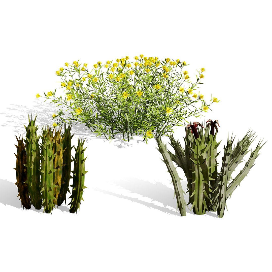 Desert Vegetation Pack 3D https://p.turbosquid.com/ts-thumb/H3/VdQBK0/Xa/0000coverarabianpeninsulacarallumanoflower02/jpg/1769553502/1920x1080/fit_q87/e94cd62c35a594998dec18627b30aa6a5d49114b/0000coverarabianpeninsulacarallumanoflower02.jpg