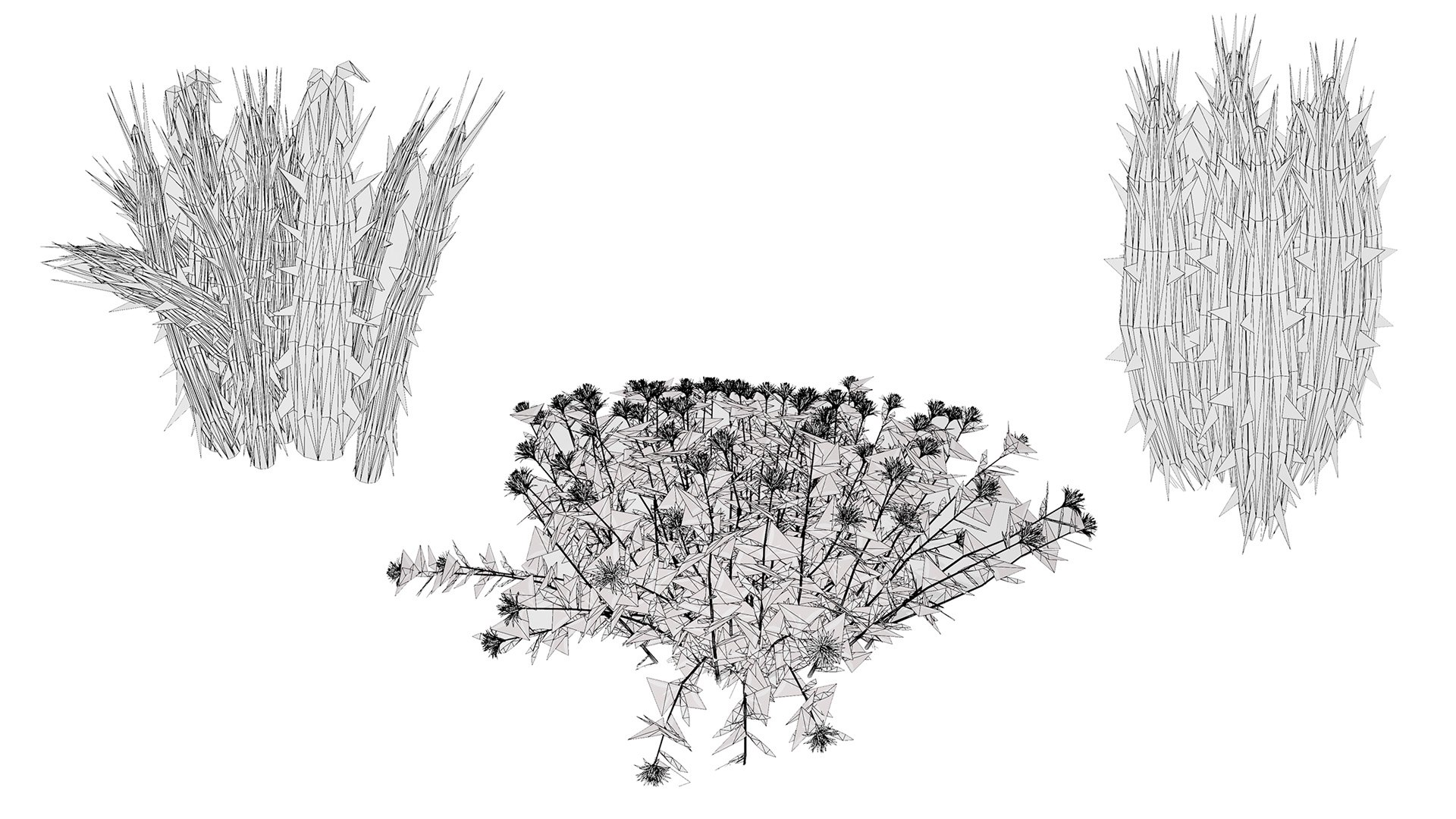 Desert Vegetation Pack 3D https://p.turbosquid.com/ts-thumb/H3/VdQBK0/sO/wirel/jpg/1769553507/1920x1080/fit_q87/185bfef0d285a62b10b1eb5d7b62f7b1581a1c68/wirel.jpg