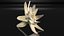 Edelweiss mountain alpine flower
