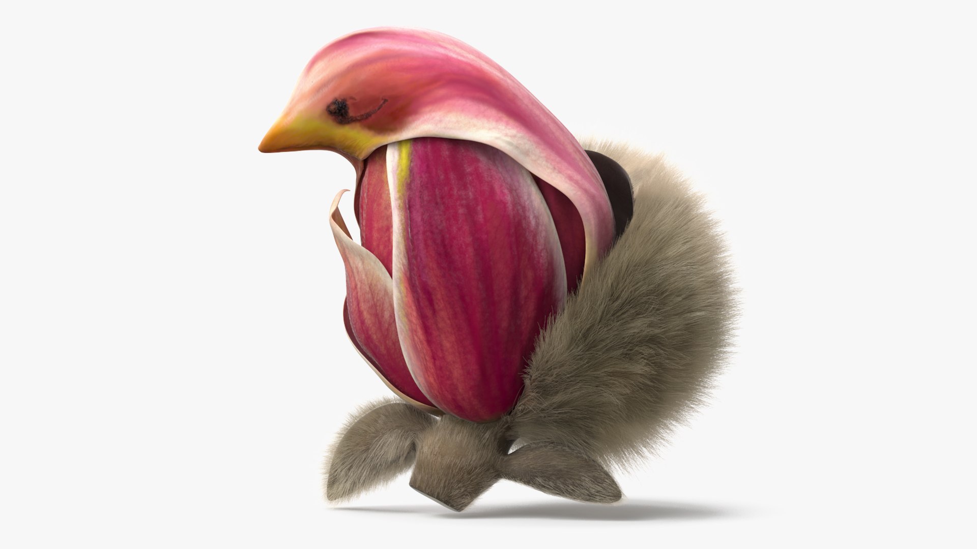 Yulan Magnolia Flower Blossom Pink Fur 3D model preview