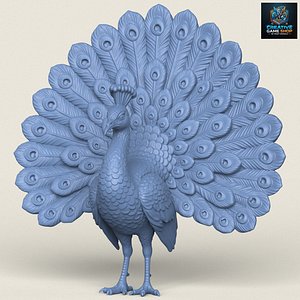 Peacock Bird Print Ready 3D Model 3D model