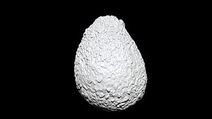 Avocado 3D CT scan model decimate 30 percent 3D model