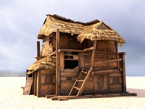 Abandoned house