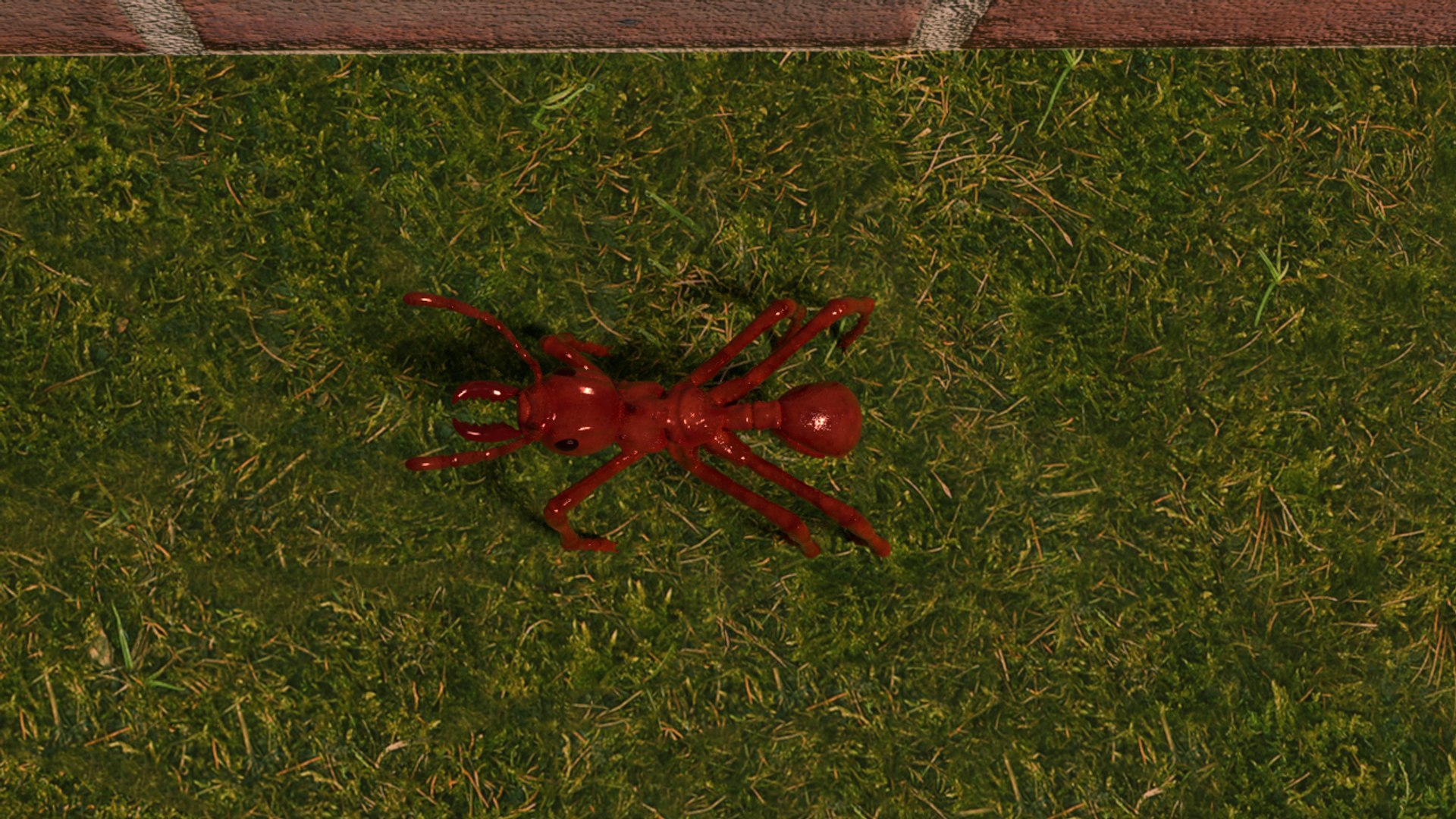 Ant 3D Model - TurboSquid 1407459