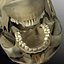 Human Skull