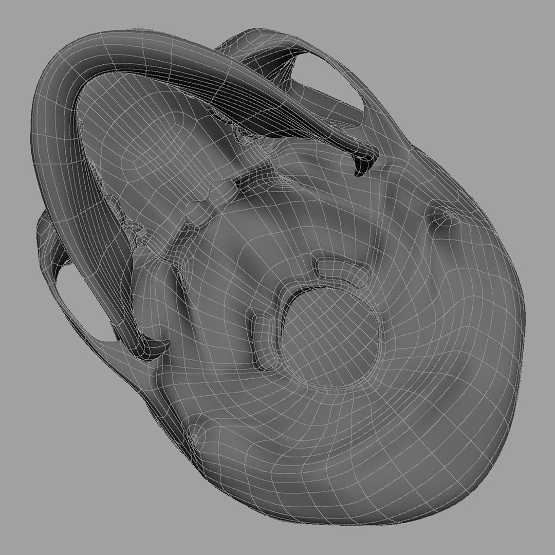 3d model human skull https://p.turbosquid.com/ts-thumb/H3/y8H5r1/dAI2f929/w03/jpg/1353676628/1920x1080/fit_q87/399f346ebc44f16d362ab5c237b4eb609b1a325f/w03.jpg