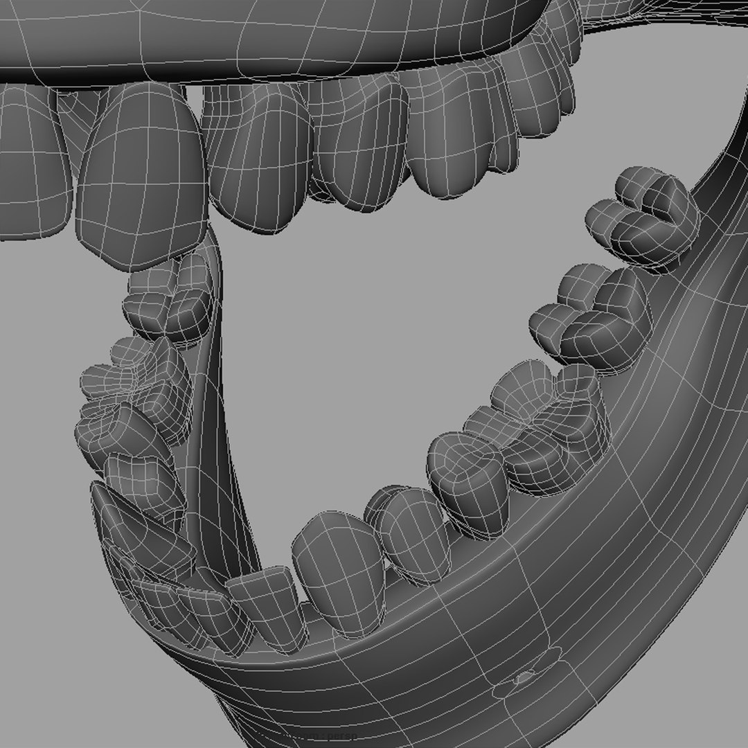 3d model human skull https://p.turbosquid.com/ts-thumb/H3/y8H5r1/wFN3t0fL/w06/jpg/1353676628/1920x1080/fit_q87/6c245b7581e7ea22b351b5fc099028db040091ec/w06.jpg