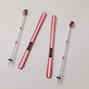 3D skis poles model