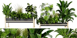 Collection plant vol 420 - blender model