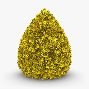 Hedge 03 (Yellow)