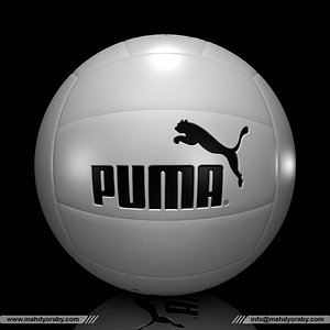 max volleyball volley ball