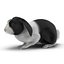 Black Rabbit Pose 2 3D Model