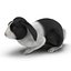 Black Rabbit Pose 2 3D Model