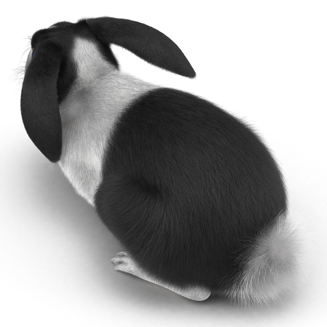 black rabbit pose 2 max https://p.turbosquid.com/ts-thumb/H4/NhDbuz/53brAsMK/3dmodelofblackrabbit12/jpg/1458295727/1920x1080/fit_q87/b943fe2307504e005df776dacac1cbcd4624474c/3dmodelofblackrabbit12.jpg
