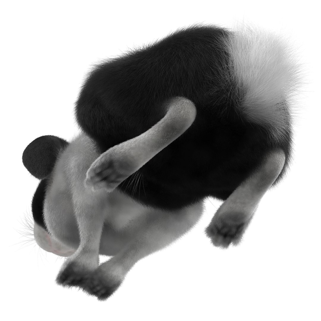 black rabbit pose 2 max https://p.turbosquid.com/ts-thumb/H4/NhDbuz/6NqTUfaH/3dmodelofblackrabbit13/jpg/1458295727/1920x1080/fit_q87/7ff689d6faf11dde2c5d24dcd9d19a81d3d80755/3dmodelofblackrabbit13.jpg