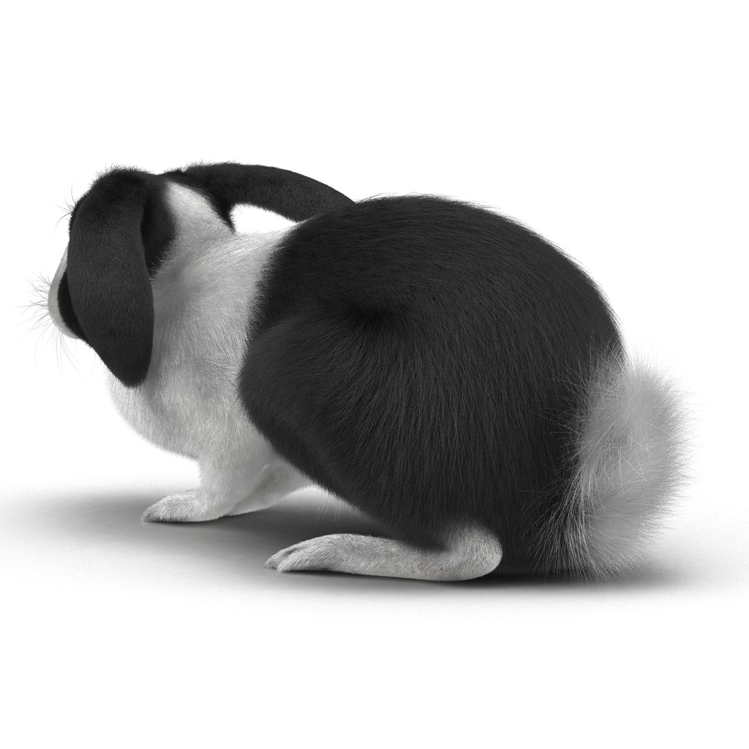 black rabbit pose 2 max https://p.turbosquid.com/ts-thumb/H4/NhDbuz/8bTUHR9W/3dmodelofblackrabbit05/jpg/1458295726/1920x1080/fit_q87/538e6a8675e1b337f814259e368cec002ee5a39c/3dmodelofblackrabbit05.jpg