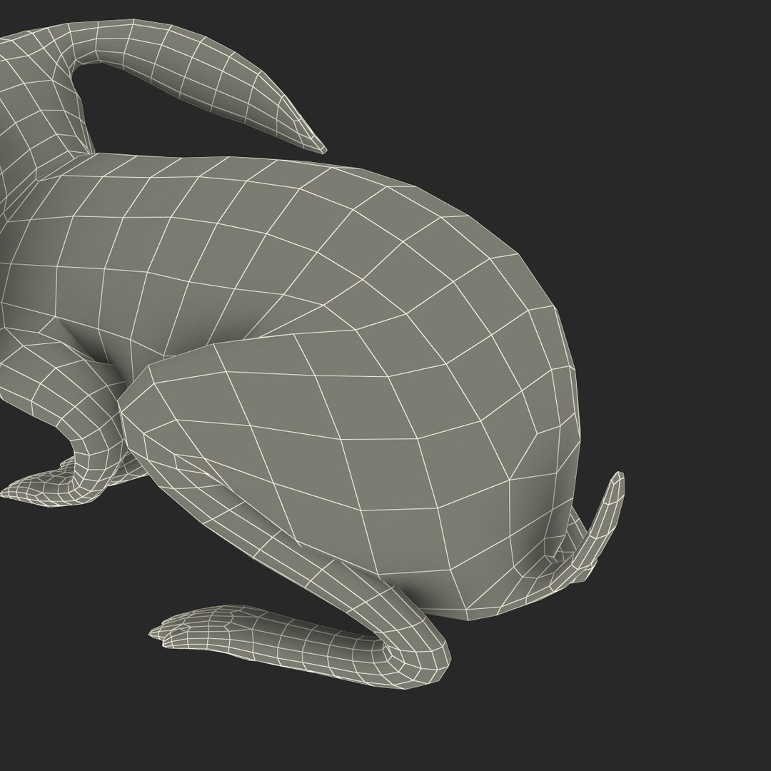 black rabbit pose 2 max https://p.turbosquid.com/ts-thumb/H4/NhDbuz/HvYiMpJY/3dmodelofblackrabbit32/jpg/1458295729/1920x1080/fit_q87/6c1b3868b78aefb87493f38ad0671c1293983aee/3dmodelofblackrabbit32.jpg