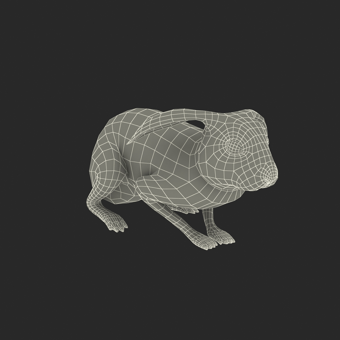 black rabbit pose 2 max https://p.turbosquid.com/ts-thumb/H4/NhDbuz/LFSMwA89/black_rabbit_pose_2_361/jpg/1458295939/1920x1080/turn_fit_q99/b7d3900fca285efd2913c9c0c457ee5fe013bc73/black_rabbit_pose_2_361-1.jpg