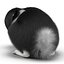 Black Rabbit Pose 2 3D Model