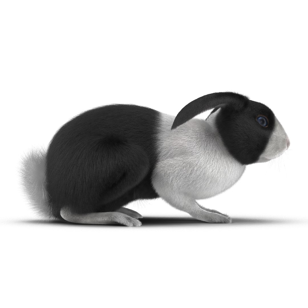 black rabbit pose 2 max https://p.turbosquid.com/ts-thumb/H4/NhDbuz/OUrqwaRq/3dmodelofblackrabbit07/jpg/1458295726/1920x1080/fit_q87/5009f7f7be33393a39ce2801e794aa7396857593/3dmodelofblackrabbit07.jpg