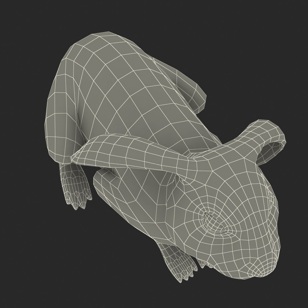 black rabbit pose 2 max https://p.turbosquid.com/ts-thumb/H4/NhDbuz/c3AZA2wg/3dmodelofblackrabbit29/jpg/1458295729/1920x1080/fit_q87/58a868282bbb75663d0b0fa3b36f4b4ce2183d2a/3dmodelofblackrabbit29.jpg