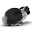Black Rabbit Pose 2 3D Model