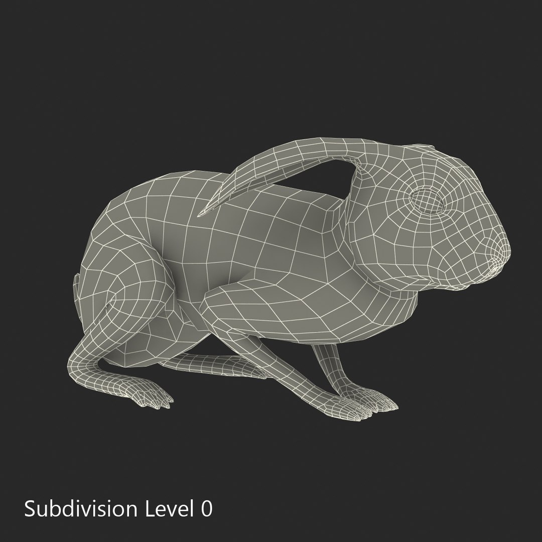 black rabbit pose 2 max https://p.turbosquid.com/ts-thumb/H4/NhDbuz/gWBoijG9/3dmodelofblackrabbit21/jpg/1458295728/1920x1080/fit_q87/b593587bdc4520def0702b4b11926289d66e11f5/3dmodelofblackrabbit21.jpg
