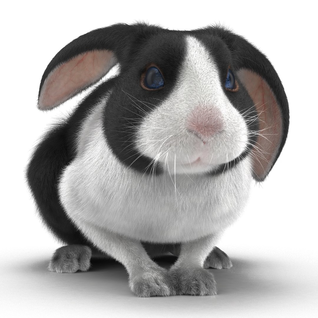 black rabbit pose 2 max https://p.turbosquid.com/ts-thumb/H4/NhDbuz/iphrLnkJ/3dmodelofblackrabbit09/jpg/1458295726/1920x1080/fit_q87/993eb29de3bf50039c50f0d0fc53e58cc7074d8b/3dmodelofblackrabbit09.jpg