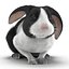 Black Rabbit Pose 2 3D Model