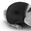 Black Rabbit Pose 2 3D Model