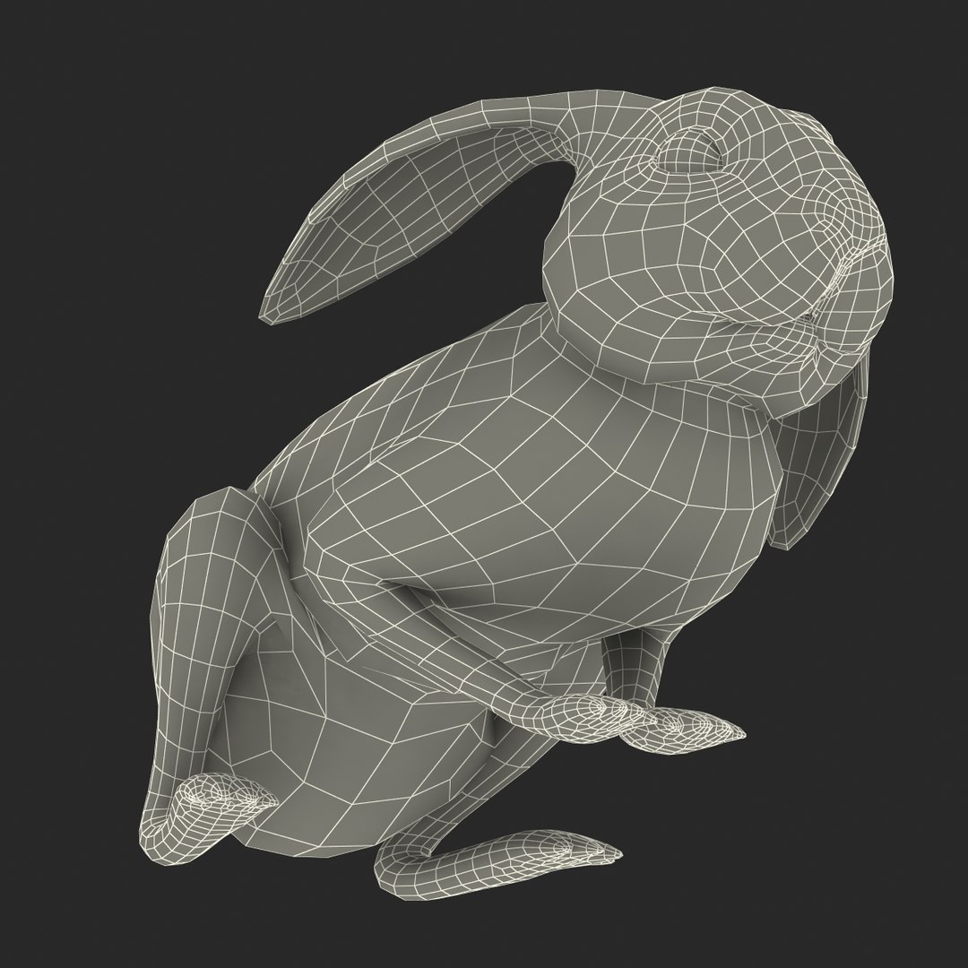 black rabbit pose 2 max