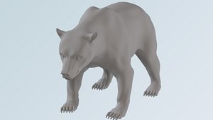 3D bear