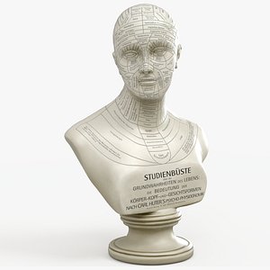 Psycho-Physiognomy head