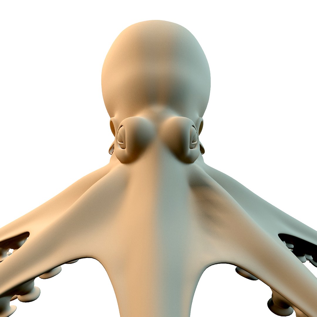 3d Model Octopus Squid