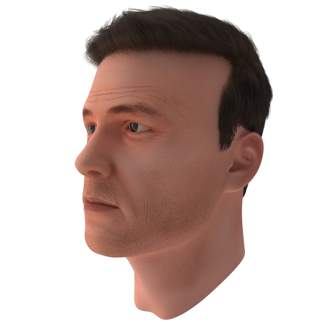 3dsmax male head 19 hair https://p.turbosquid.com/ts-thumb/H4/XrbABp/1r350QEk/malehead19fur_80/jpg/1406217967/1920x1080/fit_q87/a27925da7c672768a7d1bfe3313c06af07db3996/malehead19fur_80.jpg