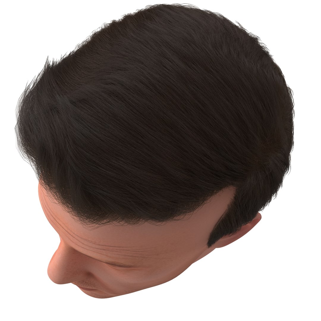 3dsmax male head 19 hair https://p.turbosquid.com/ts-thumb/H4/XrbABp/3tTImpZh/malehead19fur_81/jpg/1406217922/1920x1080/fit_q87/1661d55cdbe3cdcf6781f1869278d33664033dce/malehead19fur_81.jpg