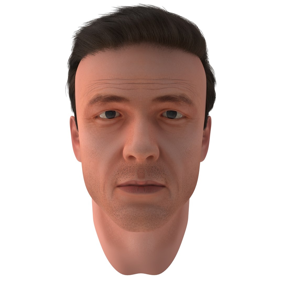 3dsmax male head 19 hair https://p.turbosquid.com/ts-thumb/H4/XrbABp/44fXlp8R/malehead19fur_75/jpg/1406217957/1920x1080/fit_q87/0577810cb72ddc6d6db850edd8dae7ef1296139a/malehead19fur_75.jpg