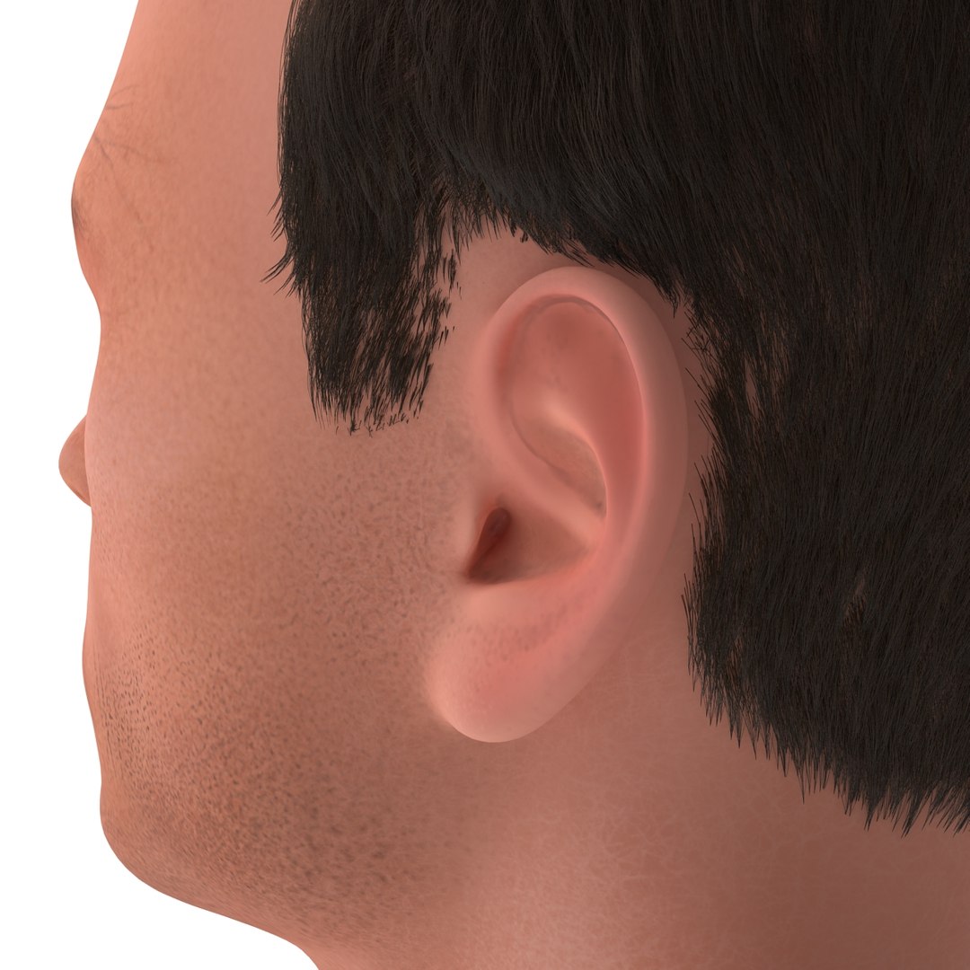 3dsmax male head 19 hair https://p.turbosquid.com/ts-thumb/H4/XrbABp/FCJp1WvX/malehead19fur_84/jpg/1406218002/1920x1080/fit_q87/9c4e1c39197fa2ab992411d1379bcd6f13697b51/malehead19fur_84.jpg