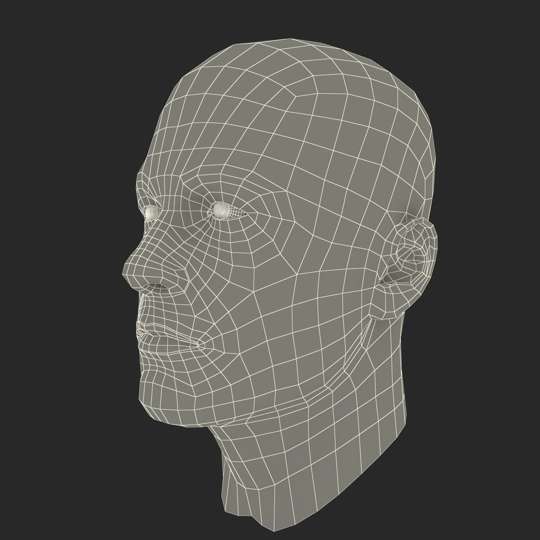 3dsmax male head 19 hair https://p.turbosquid.com/ts-thumb/H4/XrbABp/I3r4X6tx/malehead19fur_90/jpg/1406218013/1920x1080/fit_q87/1abc95c872832af5b3ddd3f81ea048400e5bae2f/malehead19fur_90.jpg