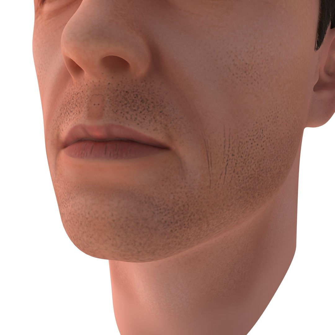 3dsmax male head 19 hair https://p.turbosquid.com/ts-thumb/H4/XrbABp/MsiUedFU/malehead19fur_85/jpg/1406217929/1920x1080/fit_q87/3469a1d0ea5ce6e7cc829e4ea402074e103b0bdb/malehead19fur_85.jpg
