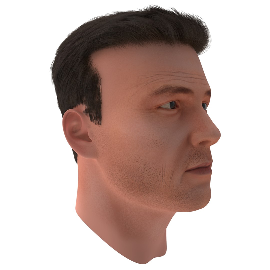 3dsmax male head 19 hair https://p.turbosquid.com/ts-thumb/H4/XrbABp/TQReTctY/malehead19fur_79/jpg/1406217964/1920x1080/fit_q87/59951f777a519ae16cabf76119cba7fa6dcd5876/malehead19fur_79.jpg