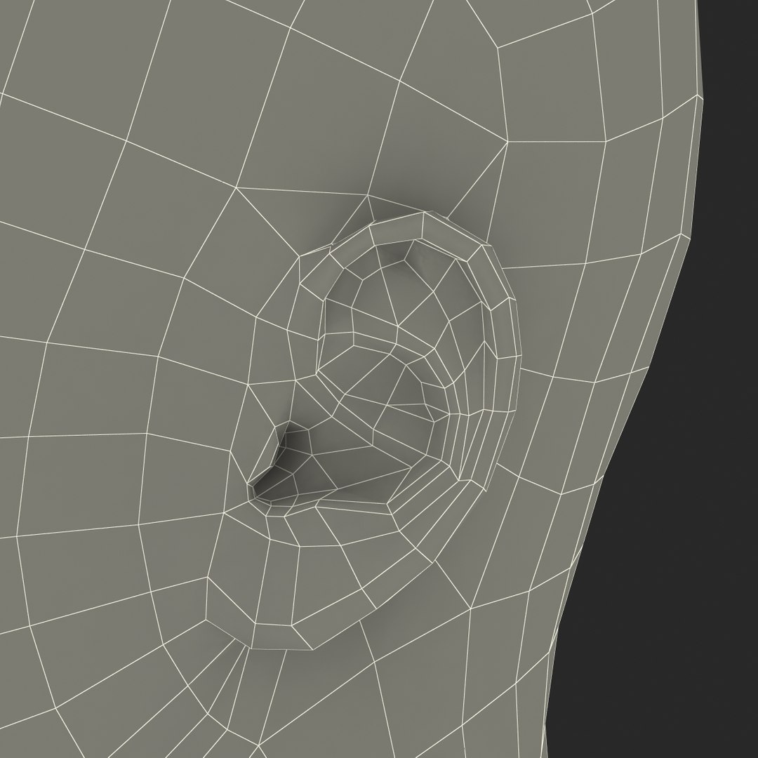 3dsmax male head 19 hair https://p.turbosquid.com/ts-thumb/H4/XrbABp/bu84MnmQ/malehead19fur_93/jpg/1406217944/1920x1080/fit_q87/ab6a38258467b2c36d98482ad4ad4a478f6fc97f/malehead19fur_93.jpg