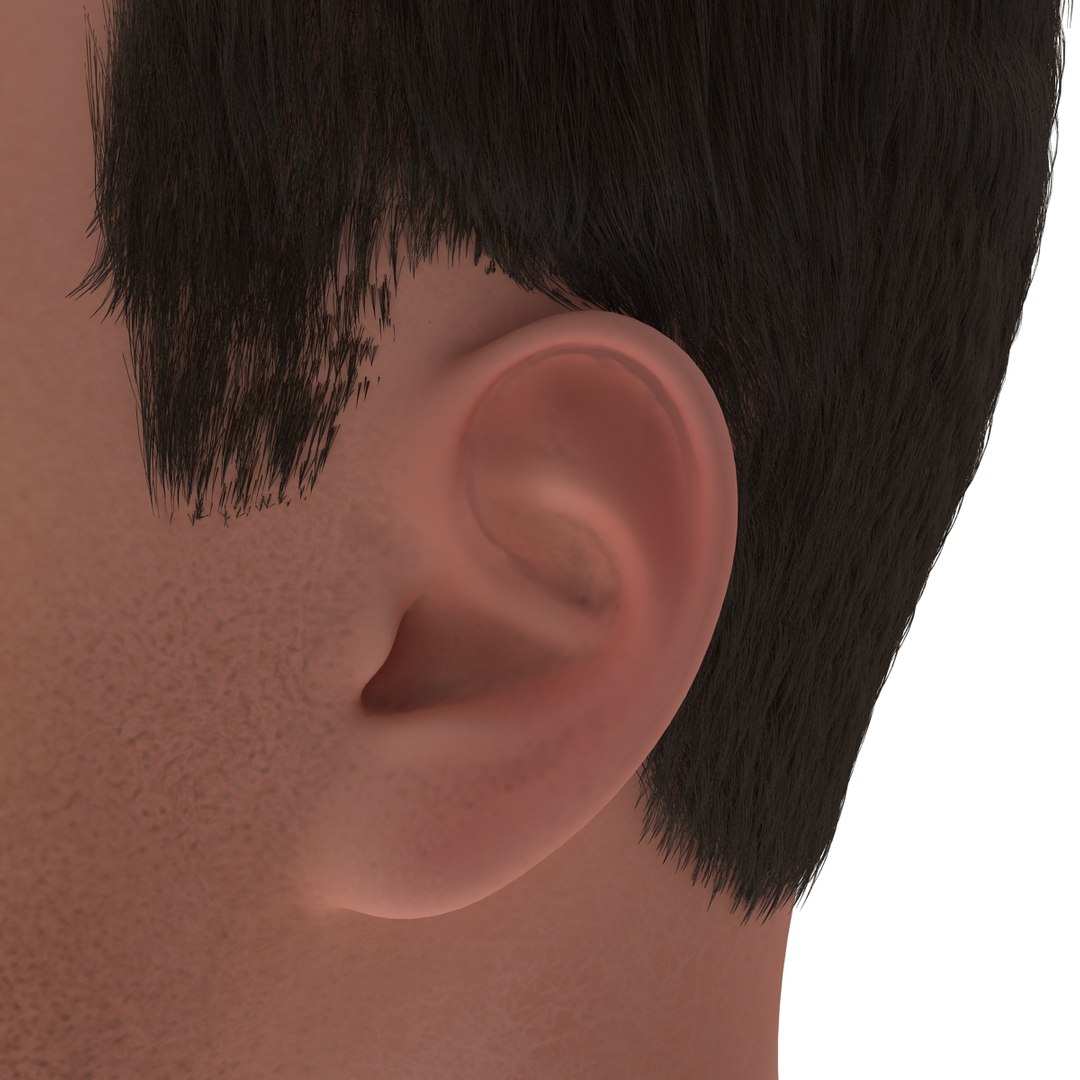 3dsmax male head 19 hair https://p.turbosquid.com/ts-thumb/H4/XrbABp/is543d4A/malehead19fur_83/jpg/1406218000/1920x1080/fit_q87/069b3e7cebb8feb4d2e787b265bbad0bf38dca22/malehead19fur_83.jpg