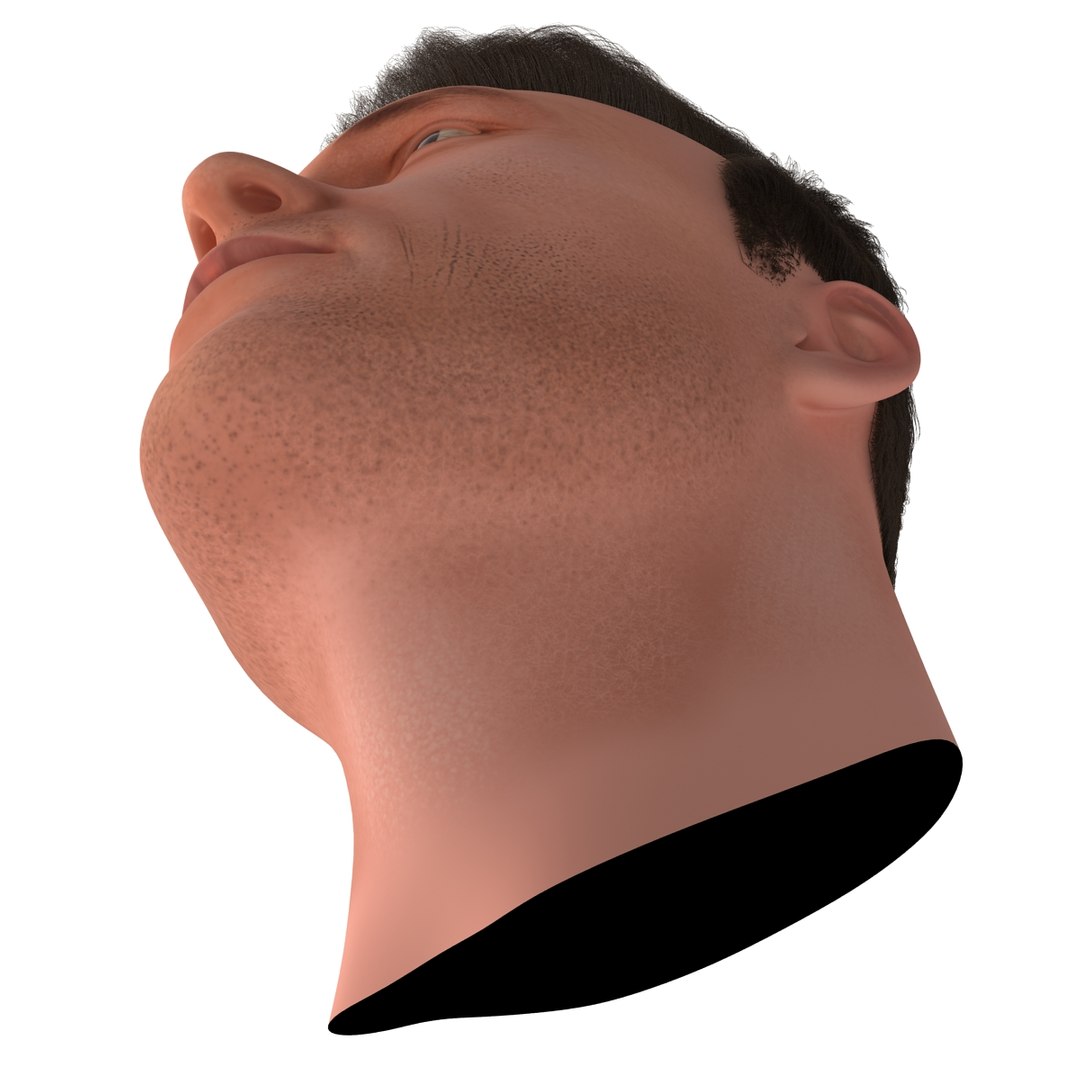 3dsmax male head 19 hair https://p.turbosquid.com/ts-thumb/H4/XrbABp/opUGGmHF/malehead19fur_82/jpg/1406217998/1920x1080/fit_q87/eda9b0e45a213ccff8a48f2b4e9efcdba8defea8/malehead19fur_82.jpg
