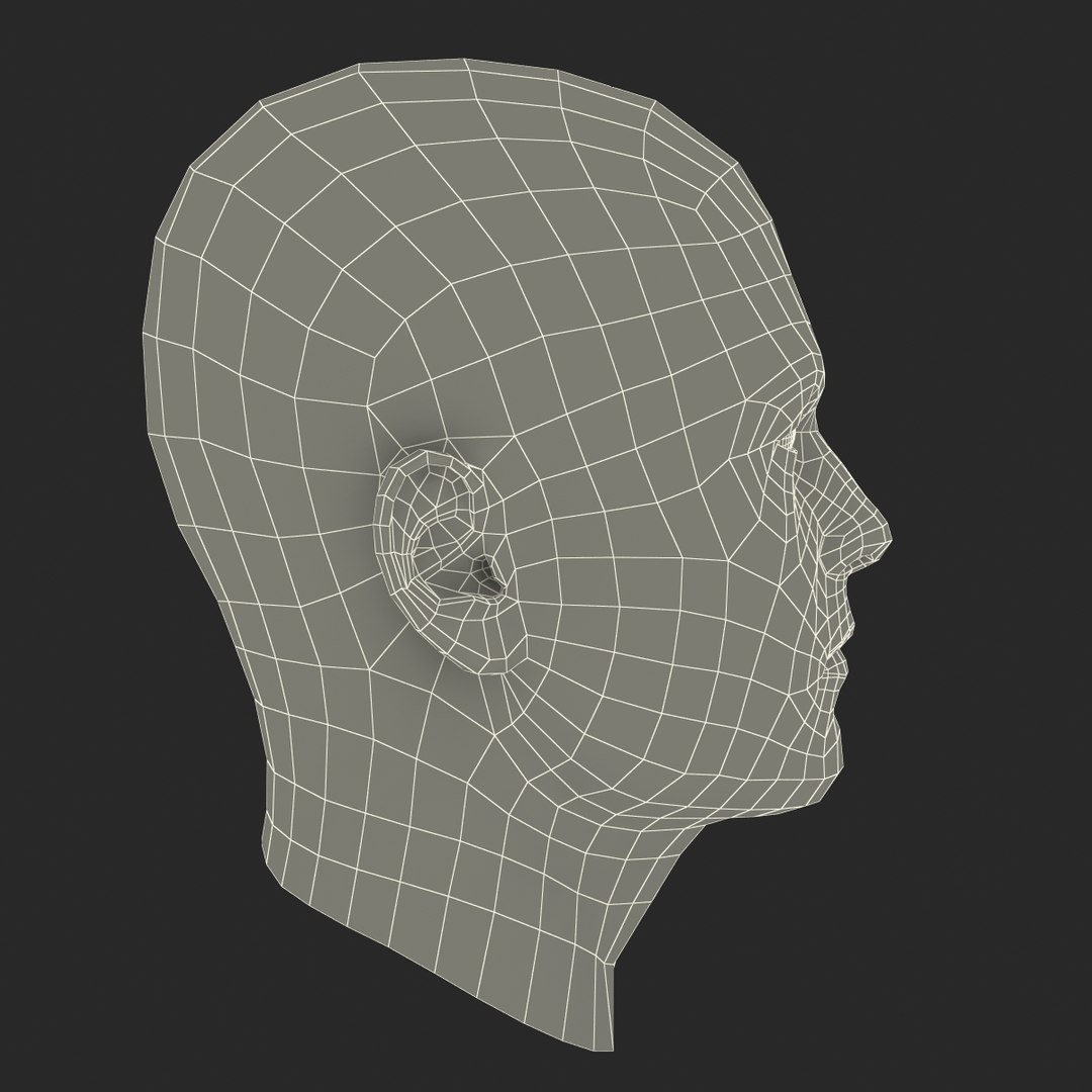 3dsmax male head 19 hair https://p.turbosquid.com/ts-thumb/H4/XrbABp/sptmmm1E/malehead19fur_88/jpg/1406218009/1920x1080/fit_q87/c7b3bde45a620992ea55fe0cd7ab4df22748ee73/malehead19fur_88.jpg