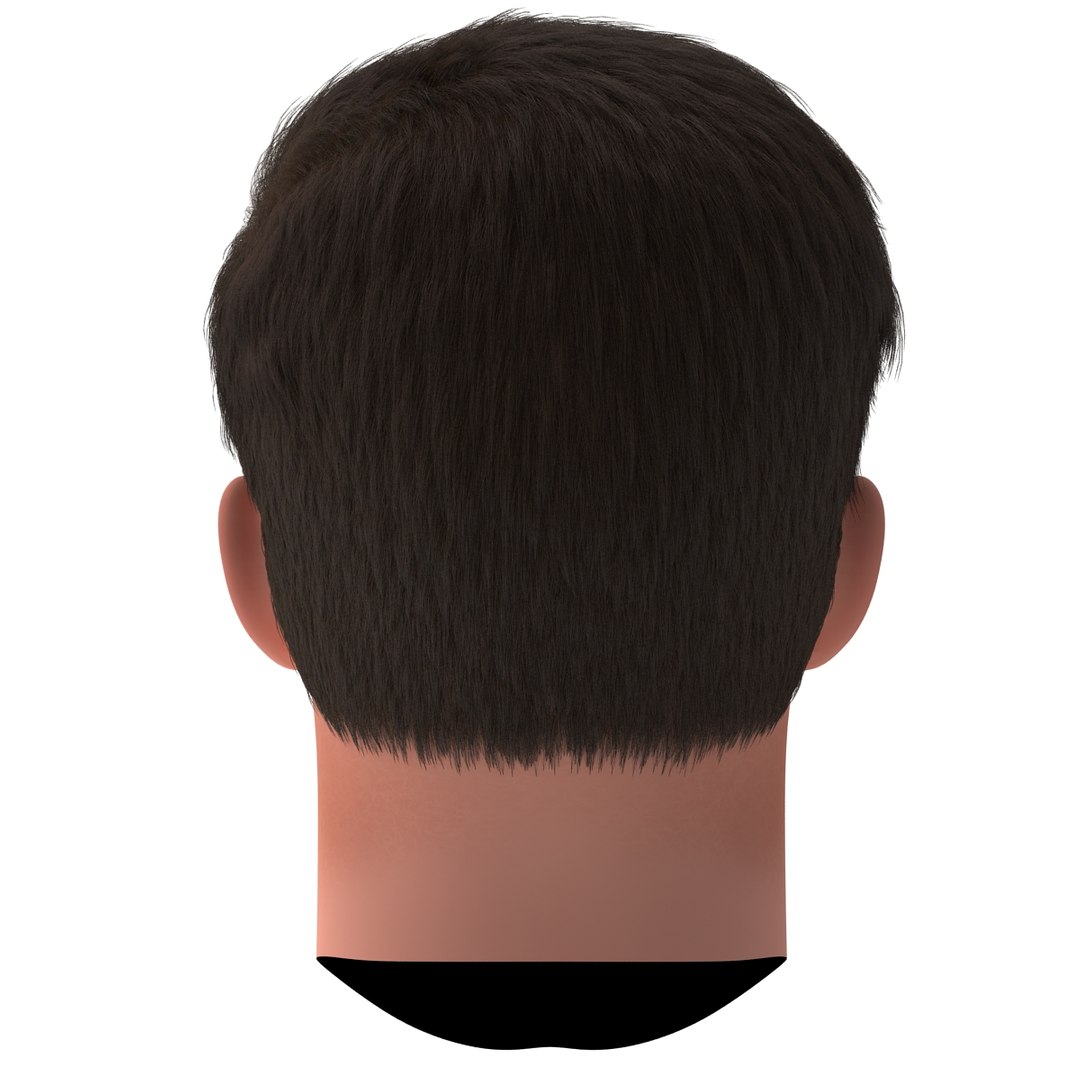 3dsmax male head 19 hair https://p.turbosquid.com/ts-thumb/H4/XrbABp/y5H5l9ZA/malehead19fur_77/jpg/1406217988/1920x1080/fit_q87/1a18e503a7aacf0bd9e5a7e3cbdfa14d6072248a/malehead19fur_77.jpg