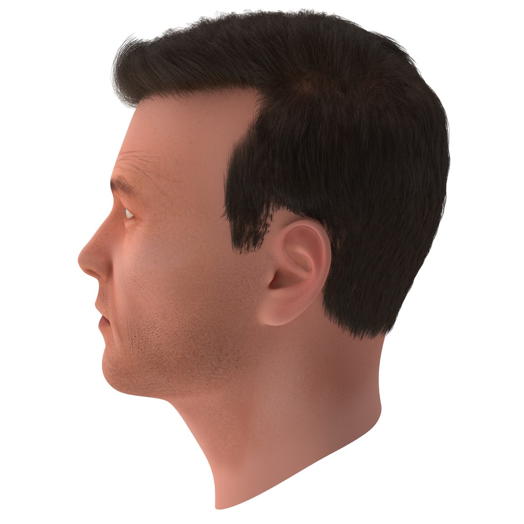 3dsmax male head 19 hair https://p.turbosquid.com/ts-thumb/H4/XrbABp/yrXX88DV/malehead19fur_76/jpg/1406217987/1920x1080/fit_q87/c53bbd0531652004c8c0bf2b91cbb1a2b9f1caa3/malehead19fur_76.jpg