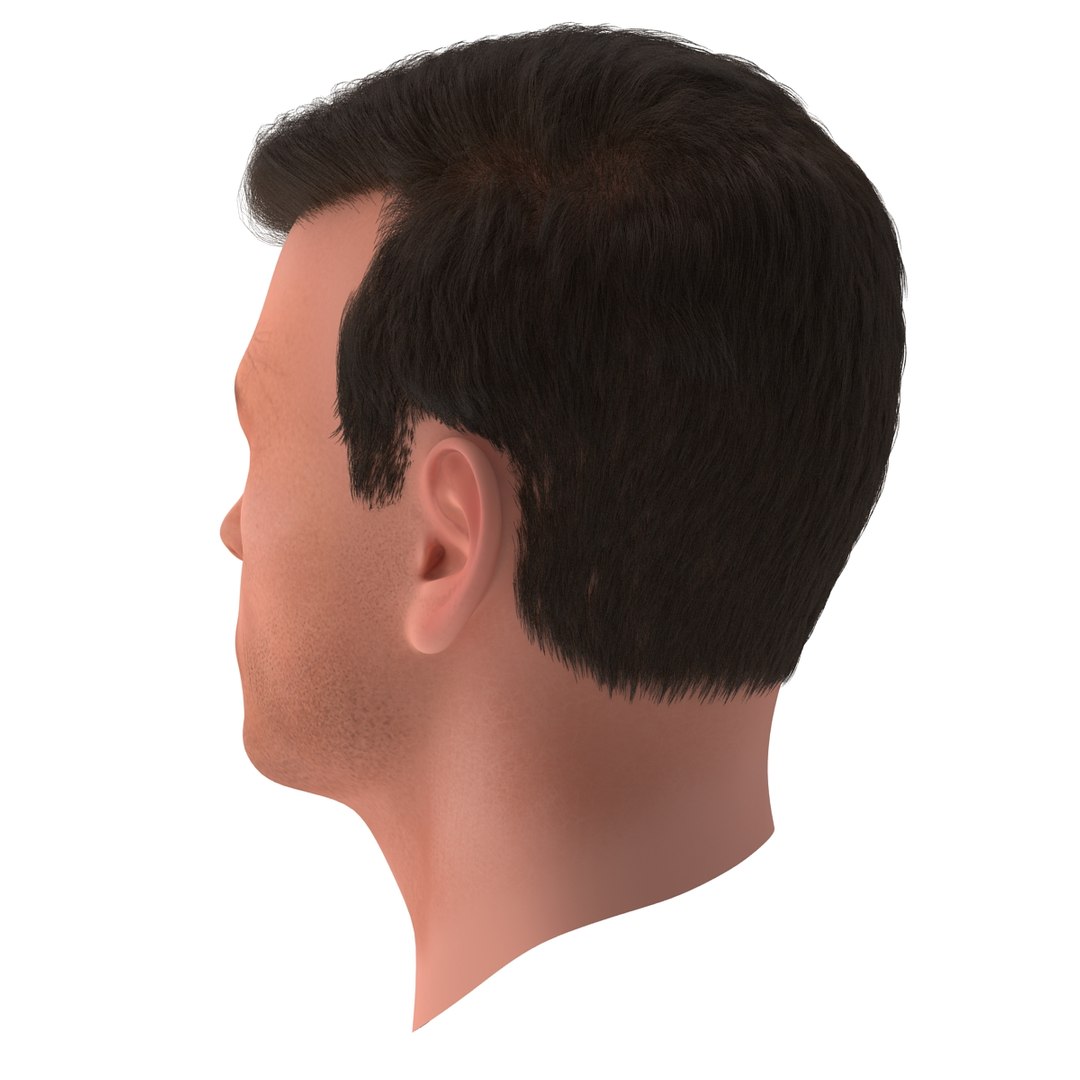 3dsmax male head 19 hair https://p.turbosquid.com/ts-thumb/H4/XrbABp/zQ1qnyPs/malehead19fur_78/jpg/1406217915/1920x1080/fit_q87/d6494b27270a8ad41758ea7372f175ecef4ec6ed/malehead19fur_78.jpg