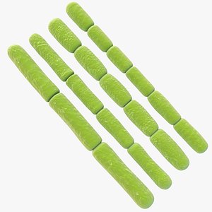 3D model Streptobacillus